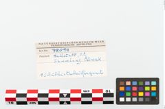 Foto von Schleifstein (NHMW-PRAE-078094)
